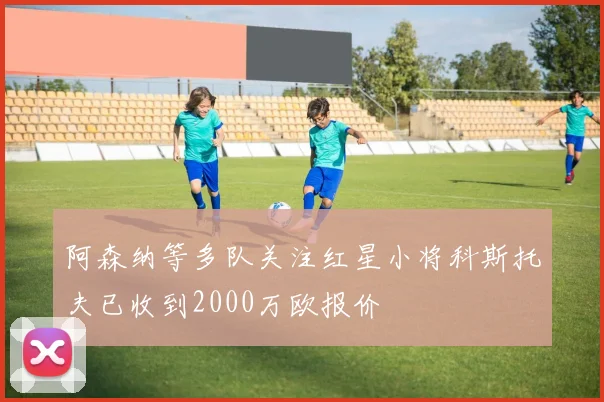 阿森纳等多队关注红星小将科斯托夫已收到2000万欧报价